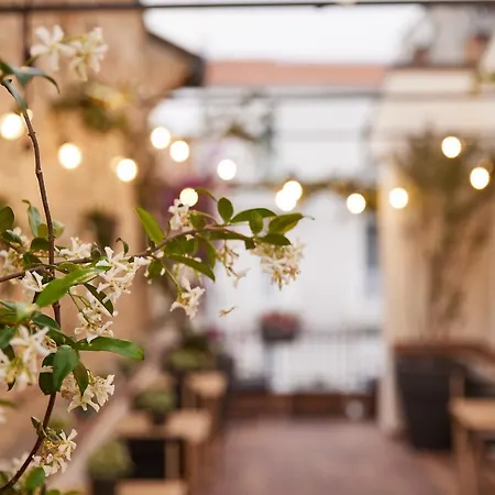 Affittacamere Battisti 56 3*